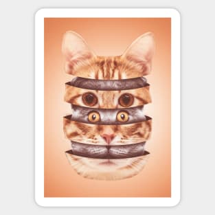 Masquerade Cat Sticker